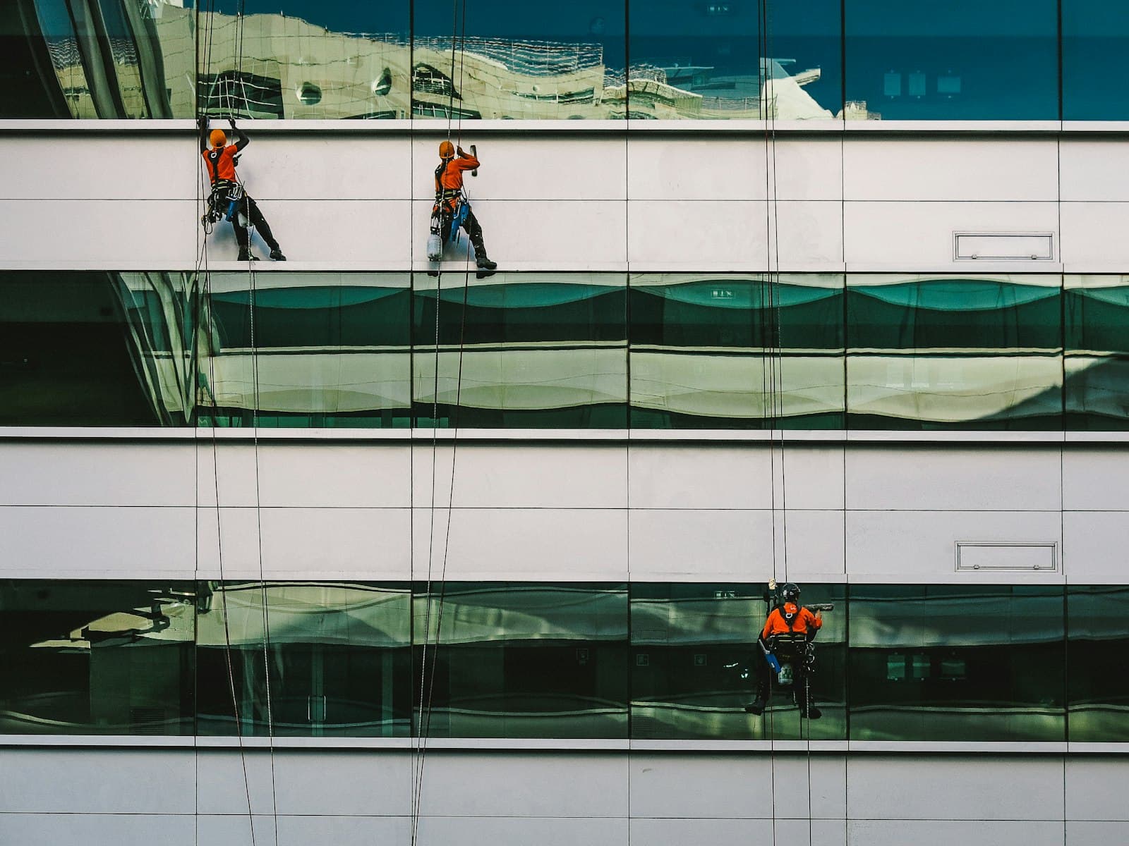 Window cleaners working on ropes down a glass office facade