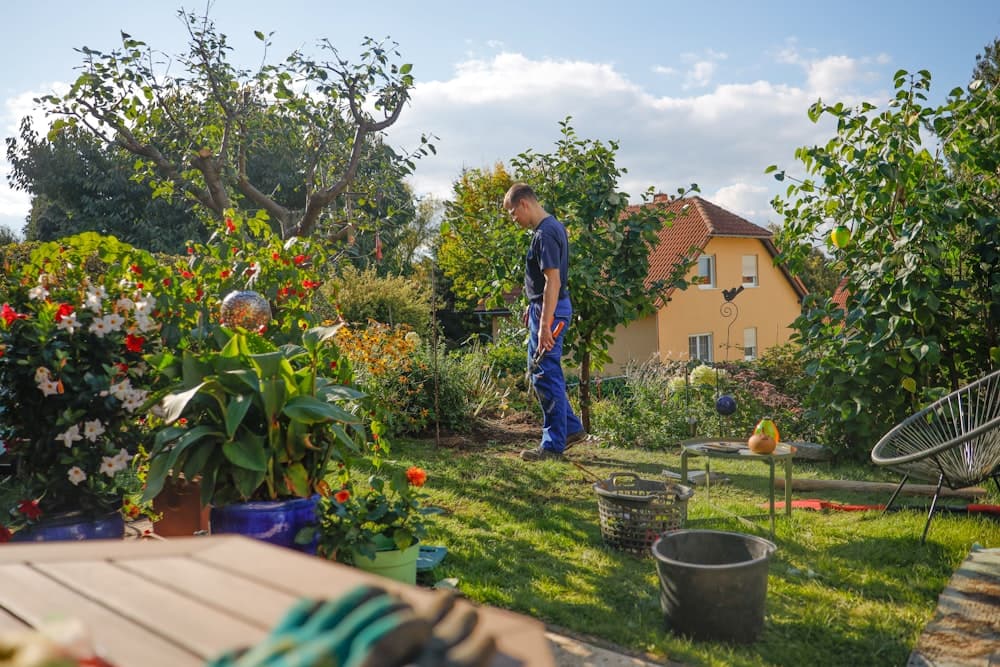 A man walking through a lush garden beside a house