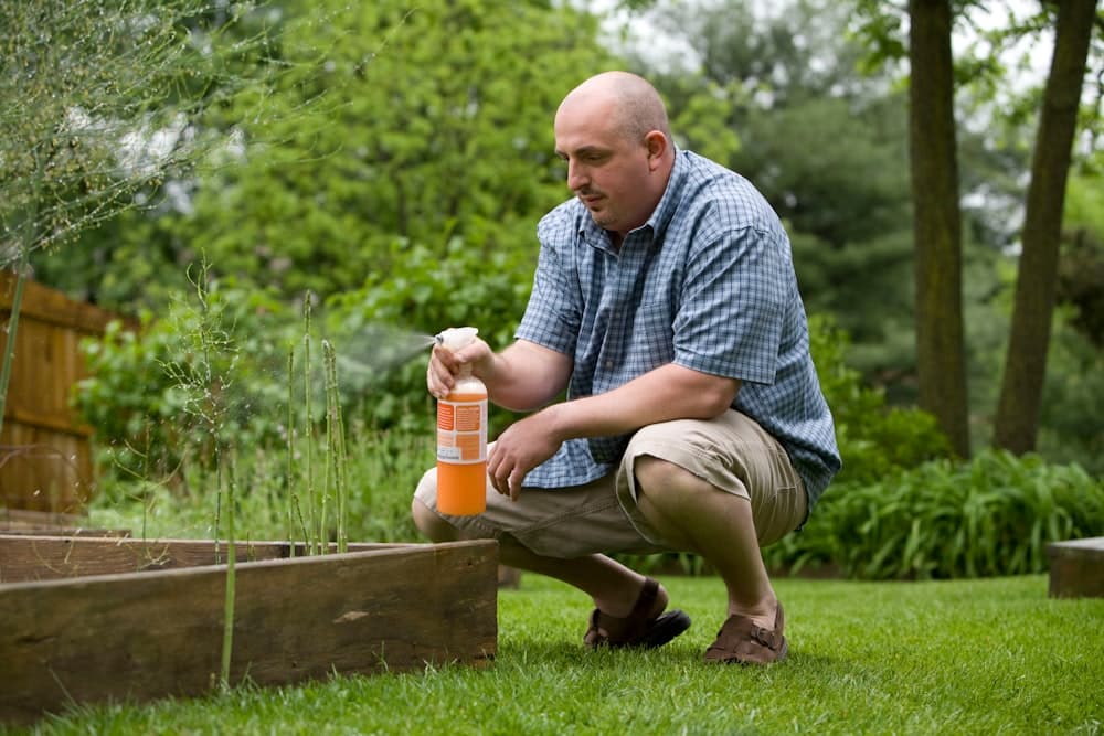 A technician crouched at a garden bed applying a treatment
