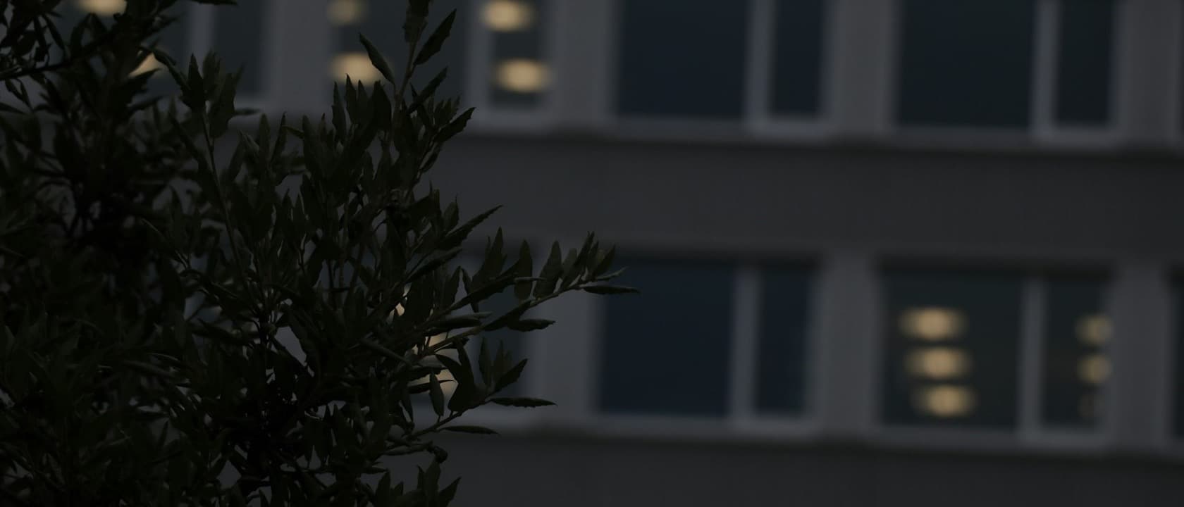Office windows lit at dusk